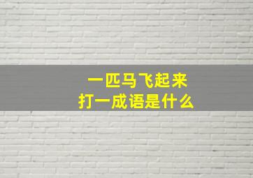 一匹马飞起来打一成语是什么