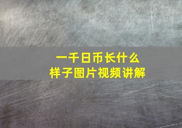 一千日币长什么样子图片视频讲解