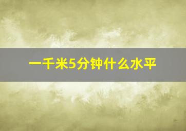 一千米5分钟什么水平