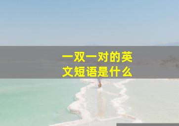 一双一对的英文短语是什么