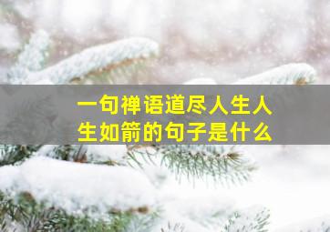 一句禅语道尽人生人生如箭的句子是什么