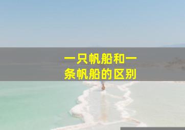 一只帆船和一条帆船的区别