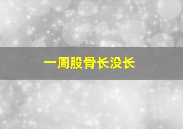 一周股骨长没长