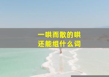 一哄而散的哄还能组什么词