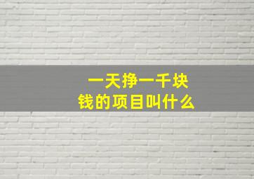 一天挣一千块钱的项目叫什么