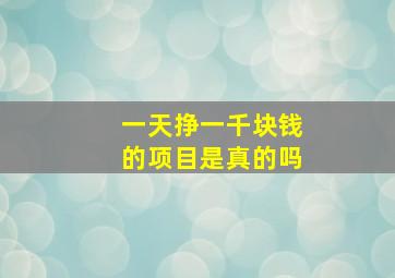 一天挣一千块钱的项目是真的吗