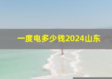 一度电多少钱2024山东