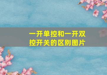 一开单控和一开双控开关的区别图片