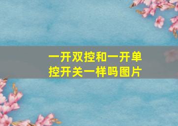 一开双控和一开单控开关一样吗图片