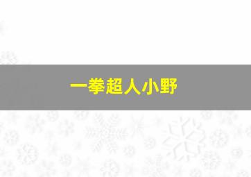 一拳超人小野