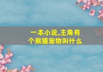 一本小说,主角有个熊猫宠物叫什么