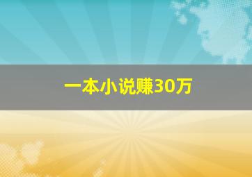 一本小说赚30万