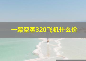 一架空客320飞机什么价