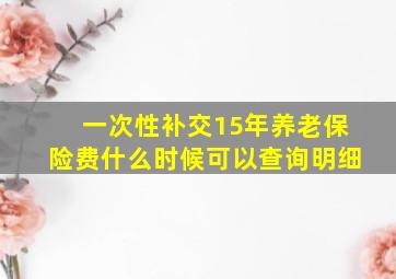 一次性补交15年养老保险费什么时候可以查询明细