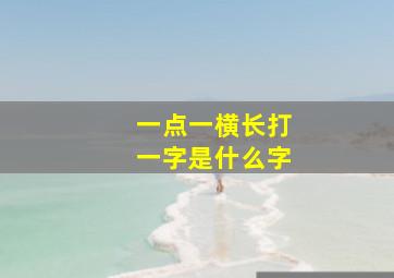 一点一横长打一字是什么字