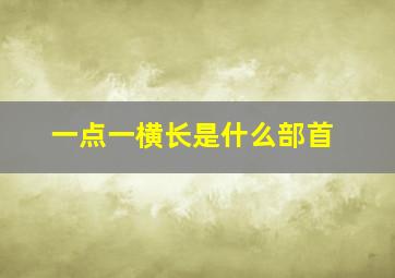 一点一横长是什么部首