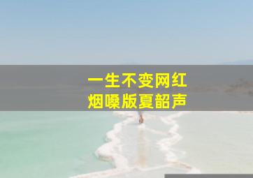 一生不变网红烟嗓版夏韶声