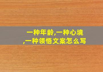 一种年龄,一种心境,一种领悟文案怎么写