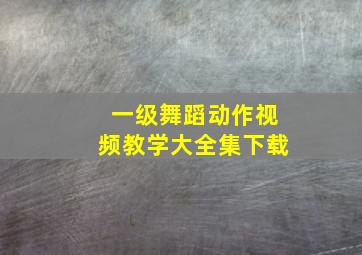 一级舞蹈动作视频教学大全集下载