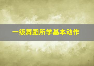 一级舞蹈所学基本动作