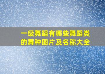 一级舞蹈有哪些舞蹈类的舞种图片及名称大全