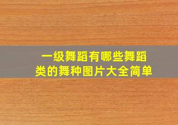 一级舞蹈有哪些舞蹈类的舞种图片大全简单