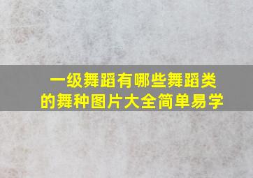 一级舞蹈有哪些舞蹈类的舞种图片大全简单易学