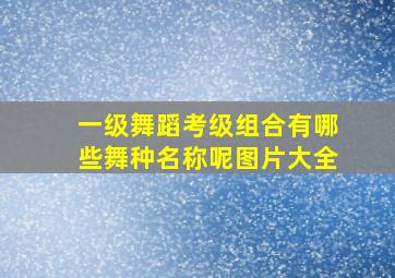 一级舞蹈考级组合有哪些舞种名称呢图片大全