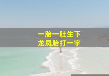 一胎一肚生下龙凤胎打一字