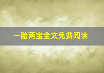 一胎两宝全文免费阅读