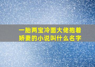 一胎两宝冷面大佬抱着娇妻的小说叫什么名字