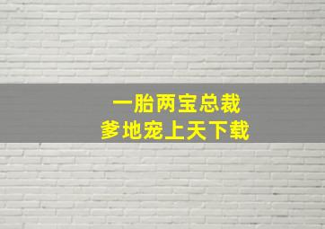 一胎两宝总裁爹地宠上天下载