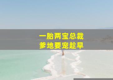 一胎两宝总裁爹地要宠趁早