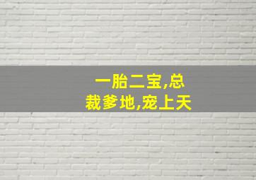 一胎二宝,总裁爹地,宠上天