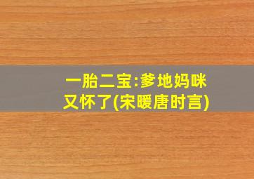 一胎二宝:爹地妈咪又怀了(宋暖唐时言)