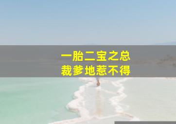 一胎二宝之总裁爹地惹不得