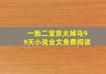 一胎二宝京太掉马99天小说全文免费阅读