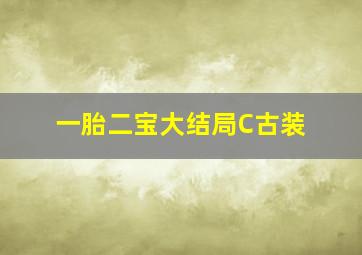 一胎二宝大结局C古装