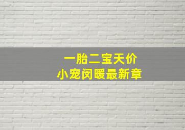 一胎二宝天价小宠闵暖最新章