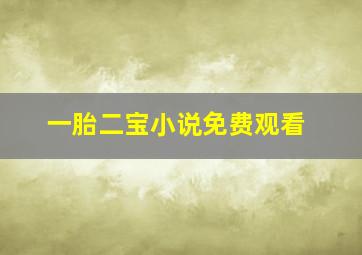 一胎二宝小说免费观看