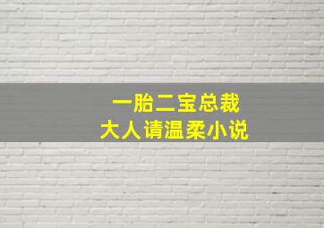 一胎二宝总裁大人请温柔小说