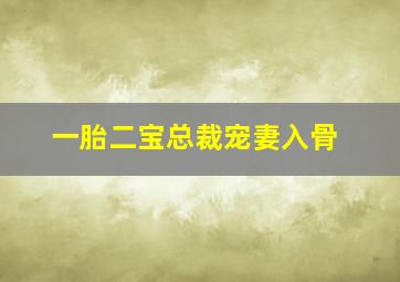 一胎二宝总裁宠妻入骨