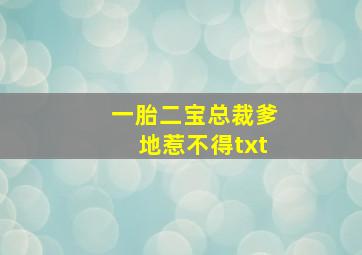 一胎二宝总裁爹地惹不得txt