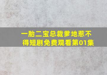 一胎二宝总裁爹地惹不得短剧免费观看第01集