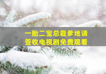 一胎二宝总裁爹地请签收电视剧免费观看