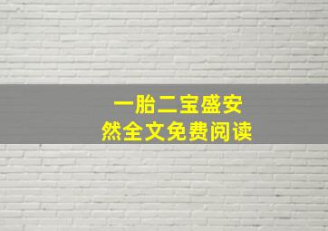 一胎二宝盛安然全文免费阅读