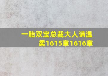 一胎双宝总裁大人请温柔1615章1616章