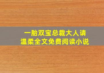 一胎双宝总裁大人请温柔全文免费阅读小说