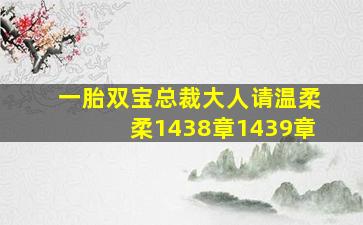 一胎双宝总裁大人请温柔柔1438章1439章