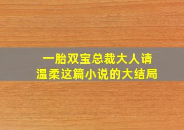 一胎双宝总裁大人请温柔这篇小说的大结局